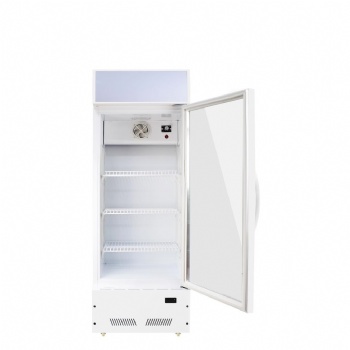 Single glass door LC-200