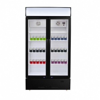 Double glass door LC-600
