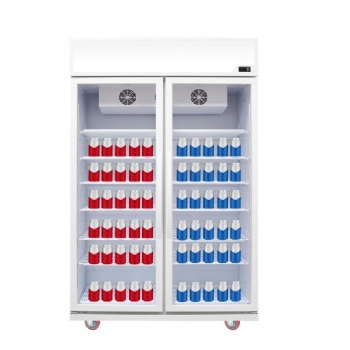 Double glass door LC-1000