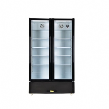 Double glass door LC-600NB