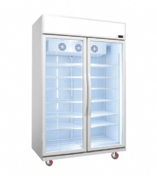 Double glass door LC-1000