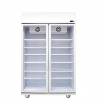 LC-1200 Double Hinged Door Bottle Cooler Merchandise Refrigerator for supermarket-top mount compressor