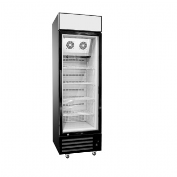 SD-305 Single Door Upright Freezer with Interior Light